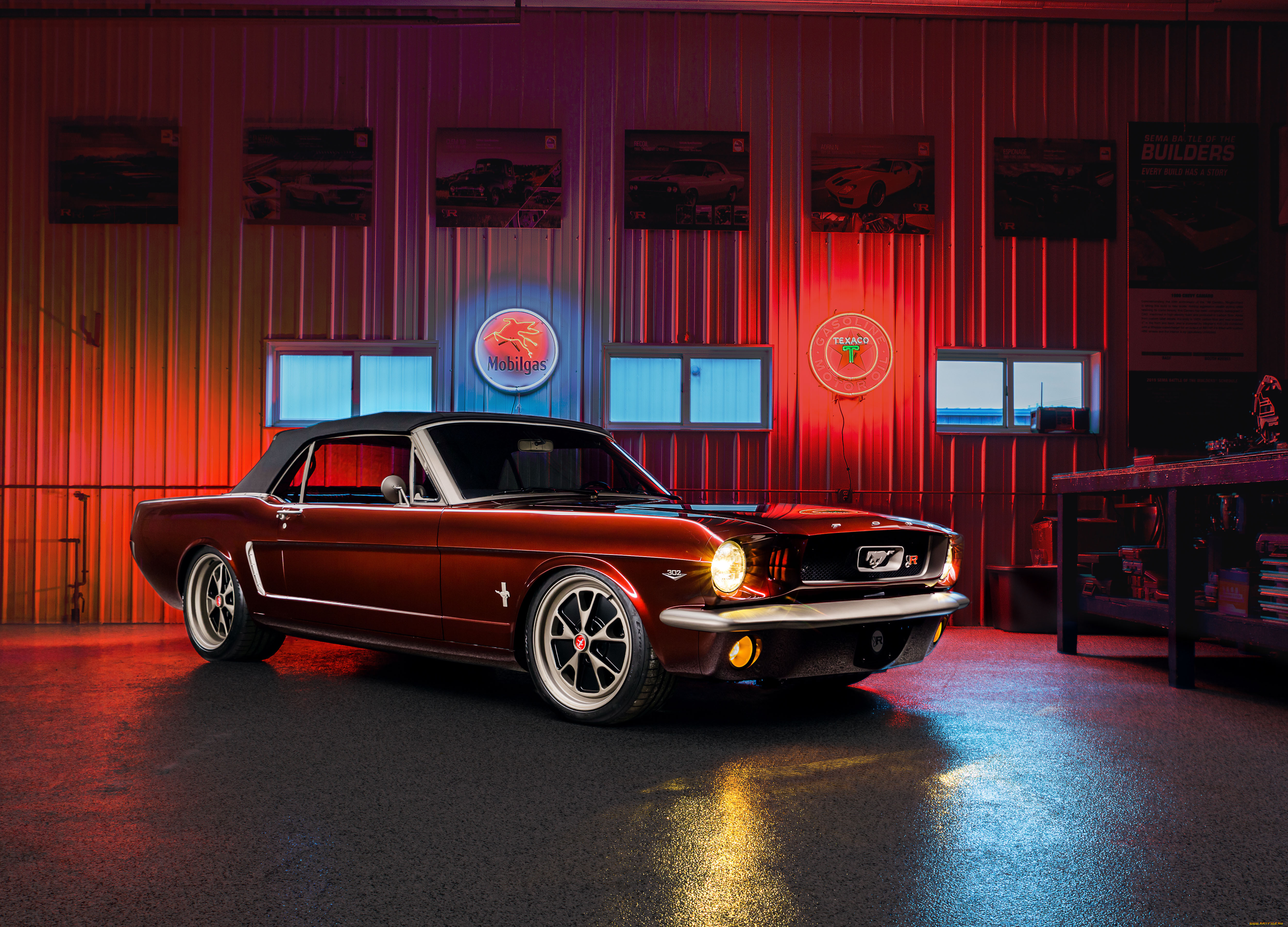 , mustang